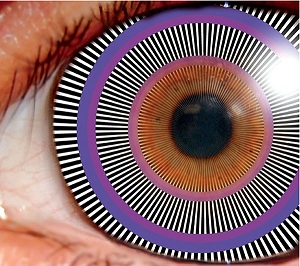 乐思网络舆情监测系统，全球领先